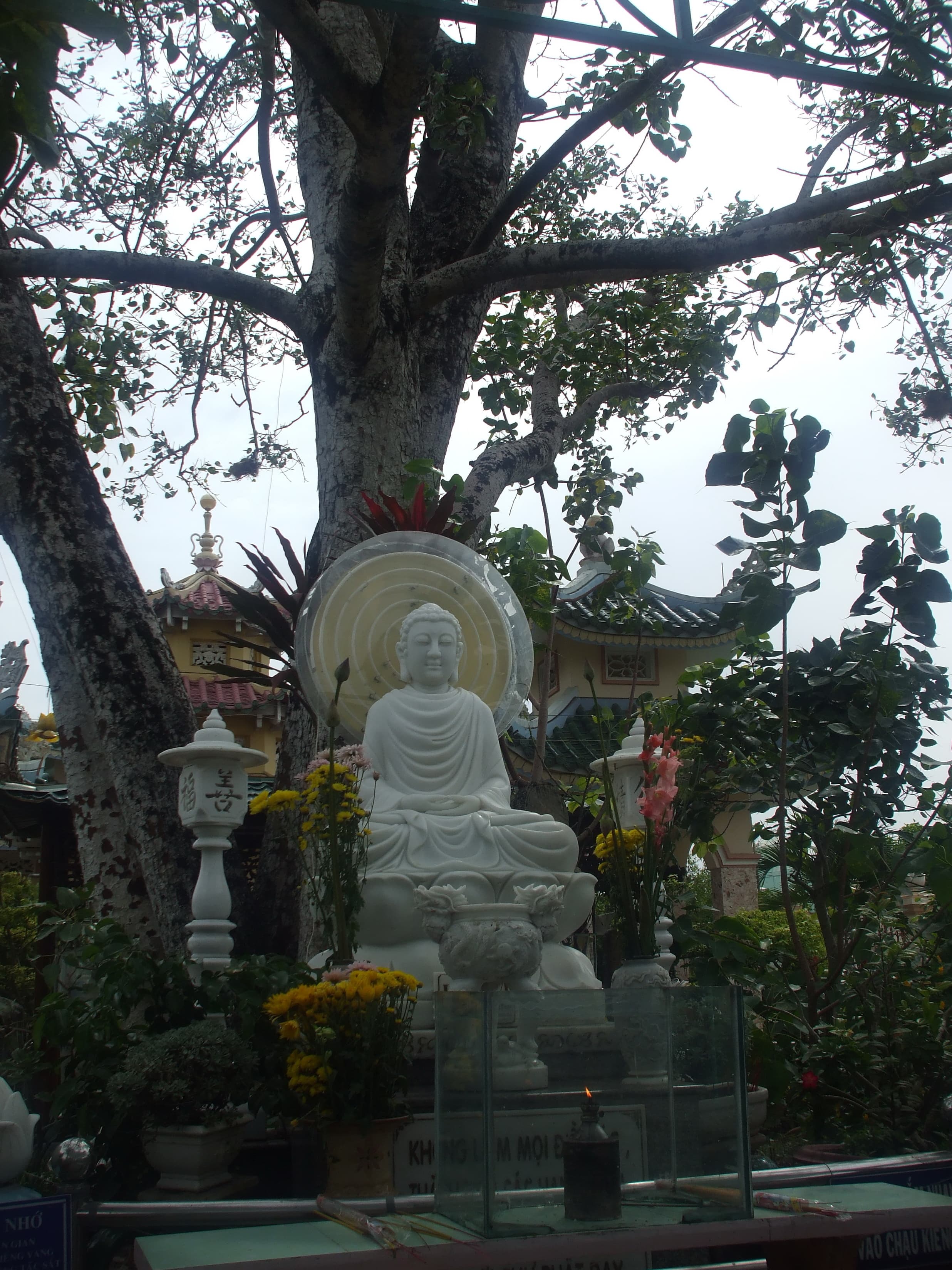 Bồ Đề Đạo Tràng