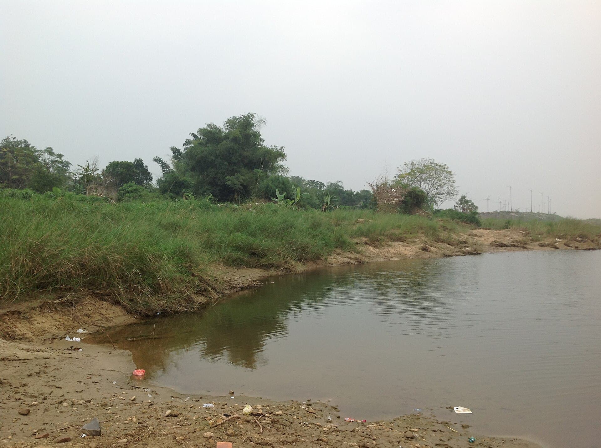 Chùa Tịnh Quang